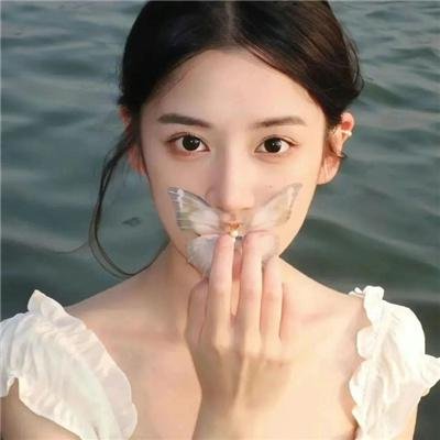 迷失真相